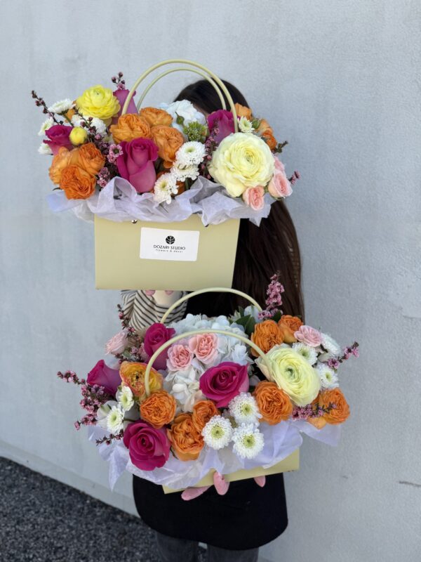 Bag “ Orange”