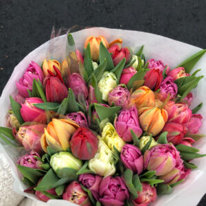 Bouquet “Double TULIPS”